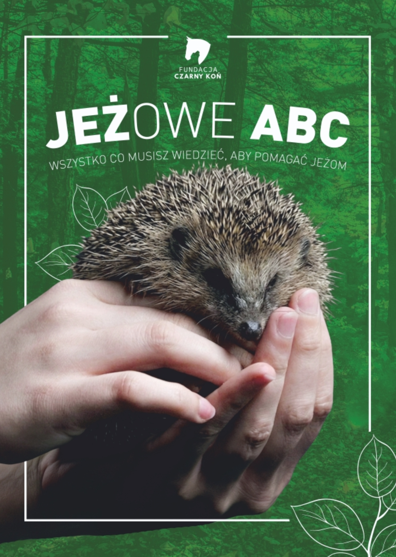 jezowe abc